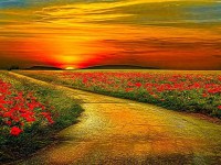 UN LUGAR MAGICO 